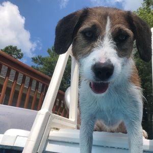 Meet your Posher, Angela